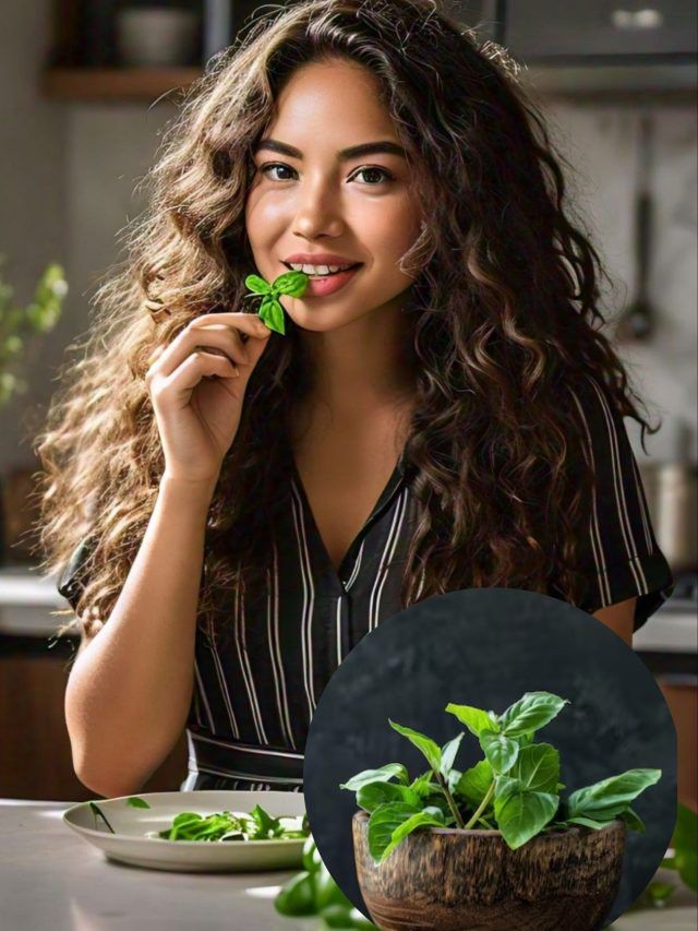 हर मर्ज का रामबाण इलाज! बस इस वक्त खा लें तुलसी के 5 पत्ते