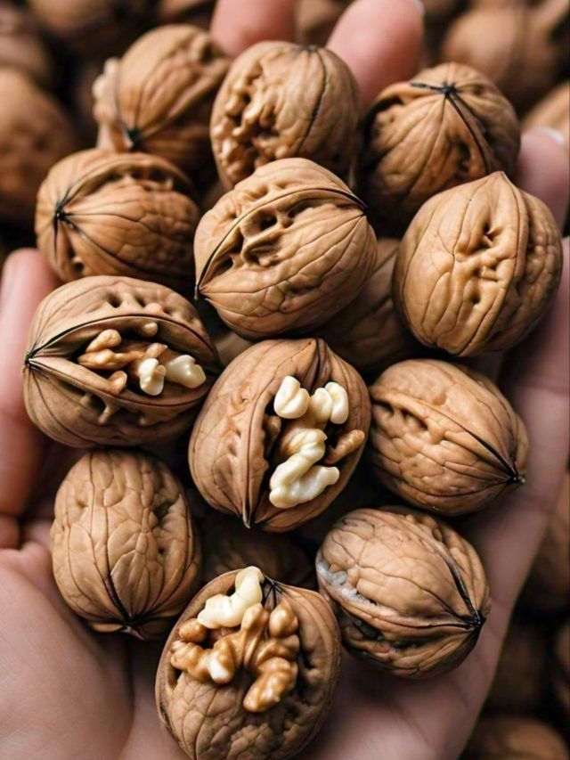 शुगर लेवल को नीचे ला देगा ये ड्राई फ्रूट, बस खाने का सही तरीका जान लें