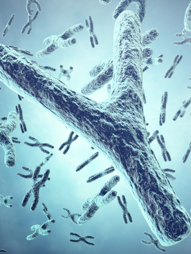 'World where only girls are born': Chromosome associated with male birth found to be shrinking, study reveals