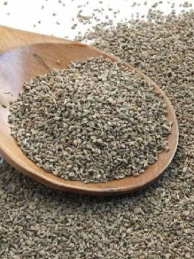 रोज बस ऐसे खा लें अजवाइन, इस खतरनाक बीमारी से जिंदगी भर रहोगे दूर