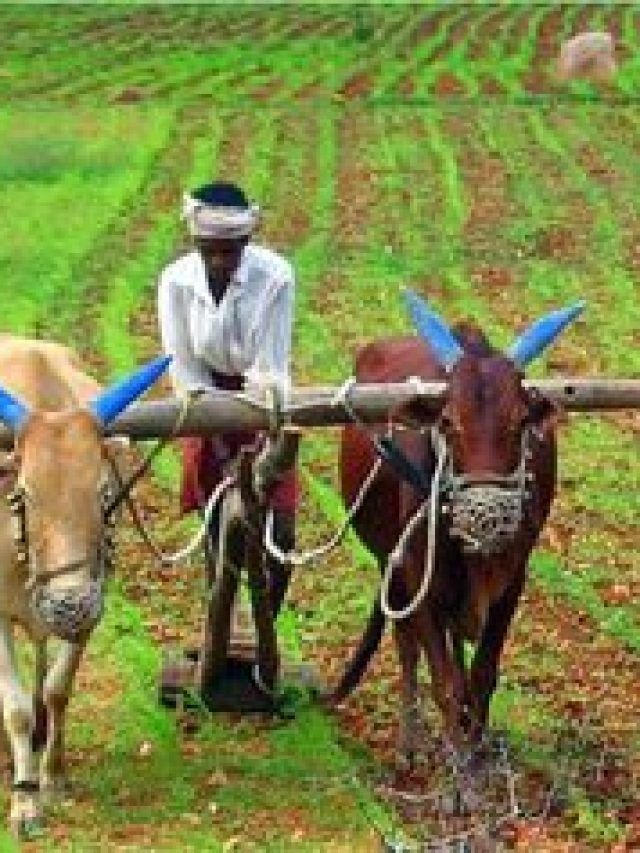 सिर्फ ₹1 में रुपये कराएं फसल बीमा, जानिए कैसे करना है आवेदन