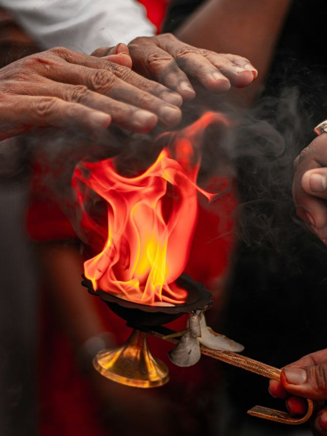 cropped photo 1625 1723356523