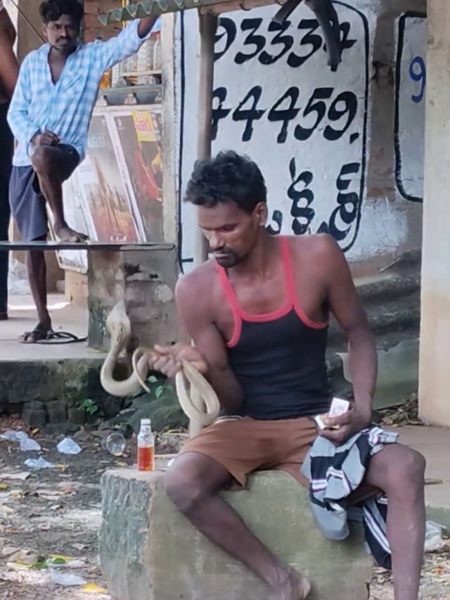 सांप को बैठाकर बात करने लगा शख्स, 'नागराज' भी तसल्ली से सुनते रहे, VIDEO