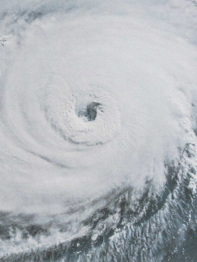 'Apocalypse after 2050': Earth is about to face a potential catastrophic event in our life time