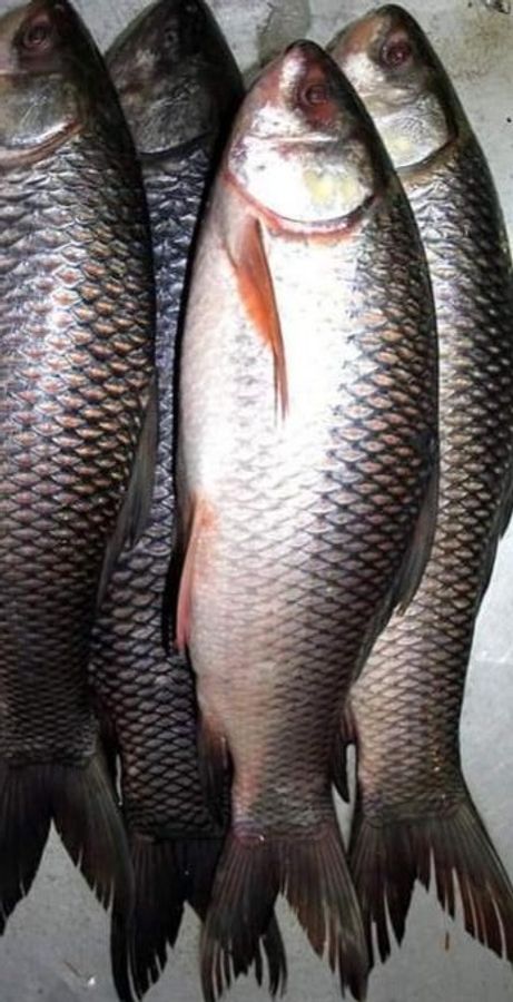 Mast kelin bilan jinsiy aloqa Dachadagi uyda er-xotinning fotosurati