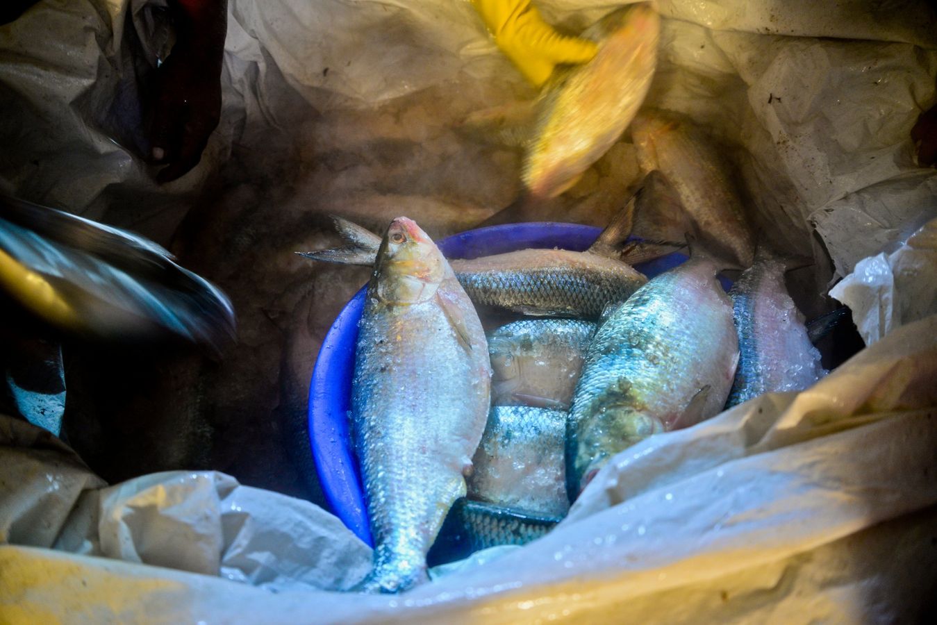 Stajyorlardan jinsiy yalangoch rasmlar Retro qora ayollar porno onlayn