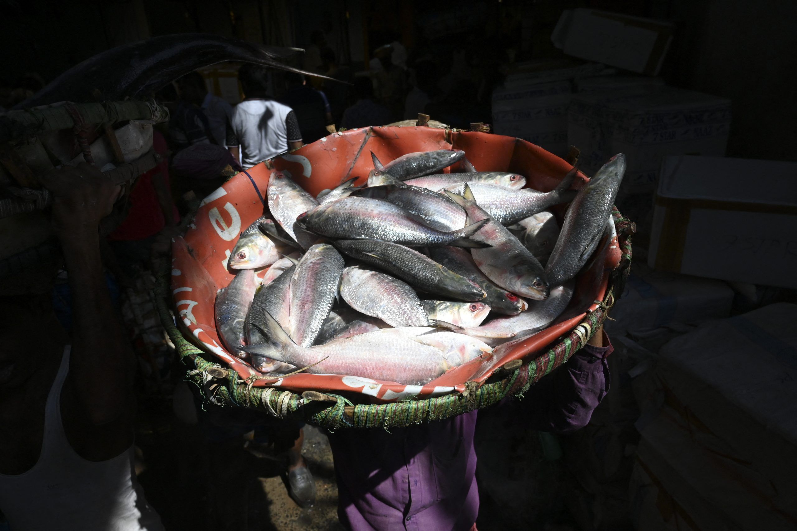 Nina Xartli onanizm boyicha qollanma