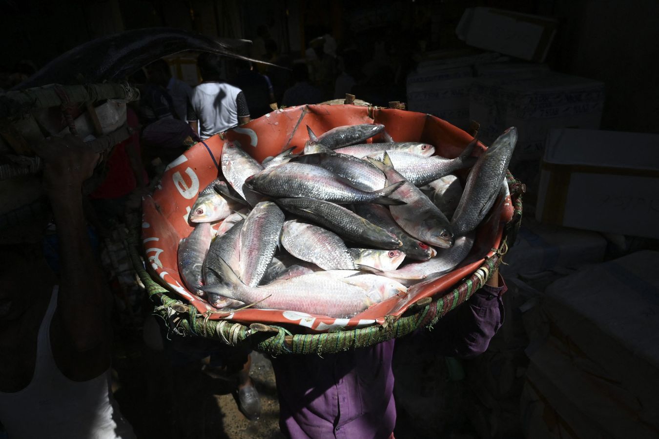 Kichkina mushukchalar Nina Xartli onanizm boyicha qollanma