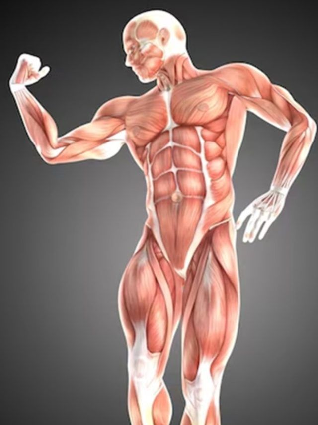 गुणों में बादाम का बाप है 5 रुपए में मिलने वाला ये नट, शरीर बना देगा ताकतवर