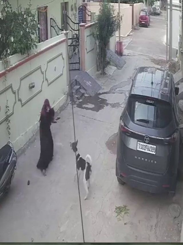 Video: जब मासूम पर किया 4 कुत्तों ने अटैक, तभी मां ने देखा और...