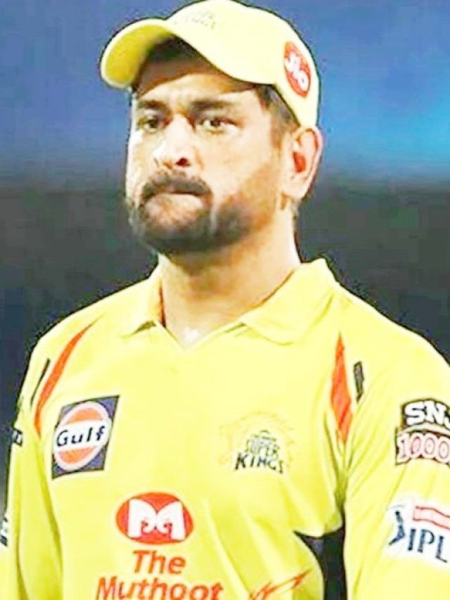 'हर कोई टीम का मालिक है...', धोनी ने IPL नीलामी से पहले किसे लताड़ा?