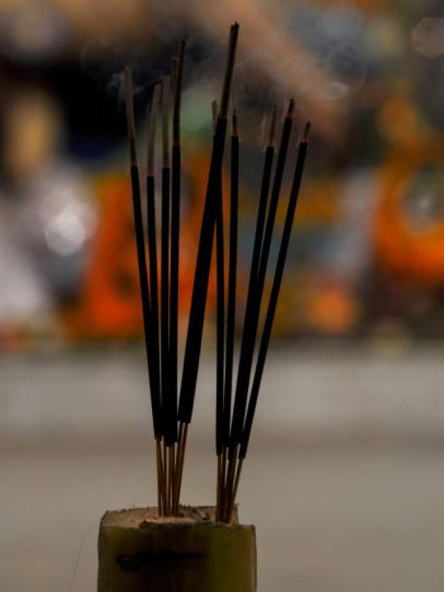 हरियाली तीज की रात करें इन खास मंत्रों का उच्चारण, मां पार्वती की मिलेगी कृपा