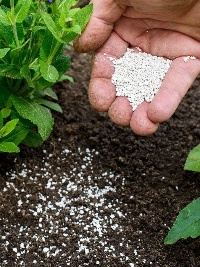 घर बैठे करें असली-नकली खाद की पहचान, ये है आसान तरीका