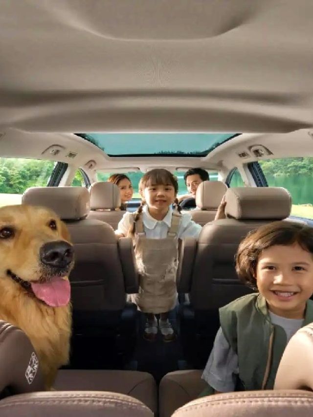 530Km रेंज... कमाल फीचर्स! INNOVA को टक्कर देने आई 7-सीटर फैमिली इलेक्ट्रिक कार