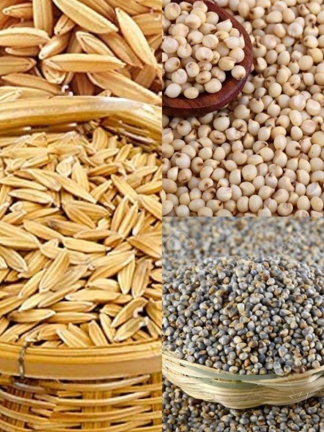 धान, ज्वार और बाजरा बेचने के लिए रजिस्ट्रेशन कराएं किसान, ये है प्रोसेस