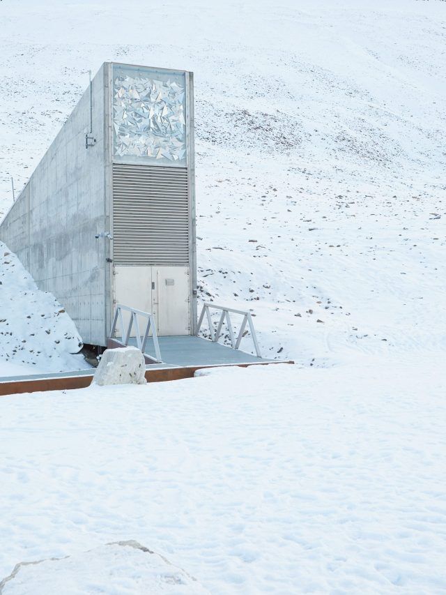'Can be visited only 6 times a year': Norway’s hidden mountain holds Earth's last food hope