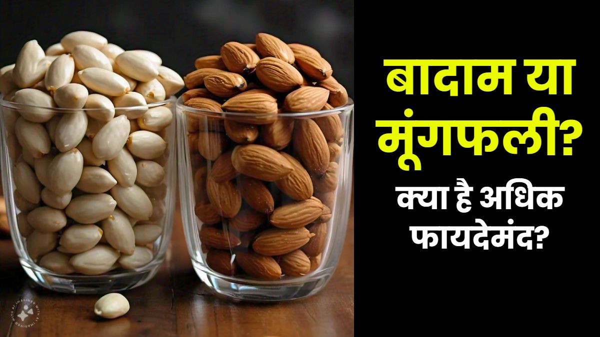 बादाम या मूंगफली दोनों में से कौन अधिक फायदेमंद, जानने के बाद ही खाएं