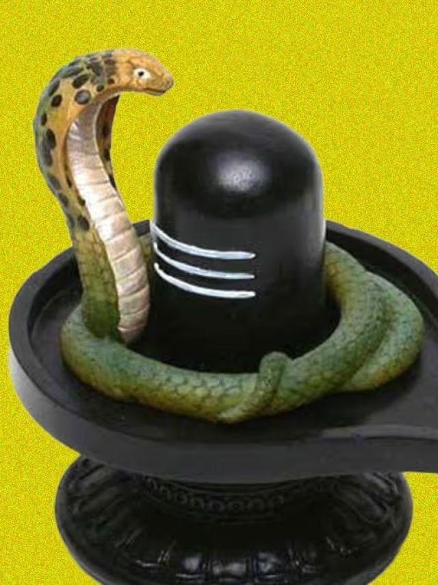 Tanadoni sikayotgan mastlarning pornosini tomosha qilishni bilaman.