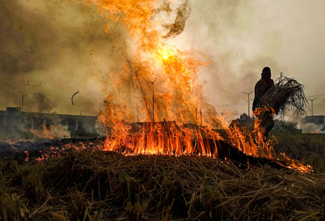 PTI11 25 2 1732693433