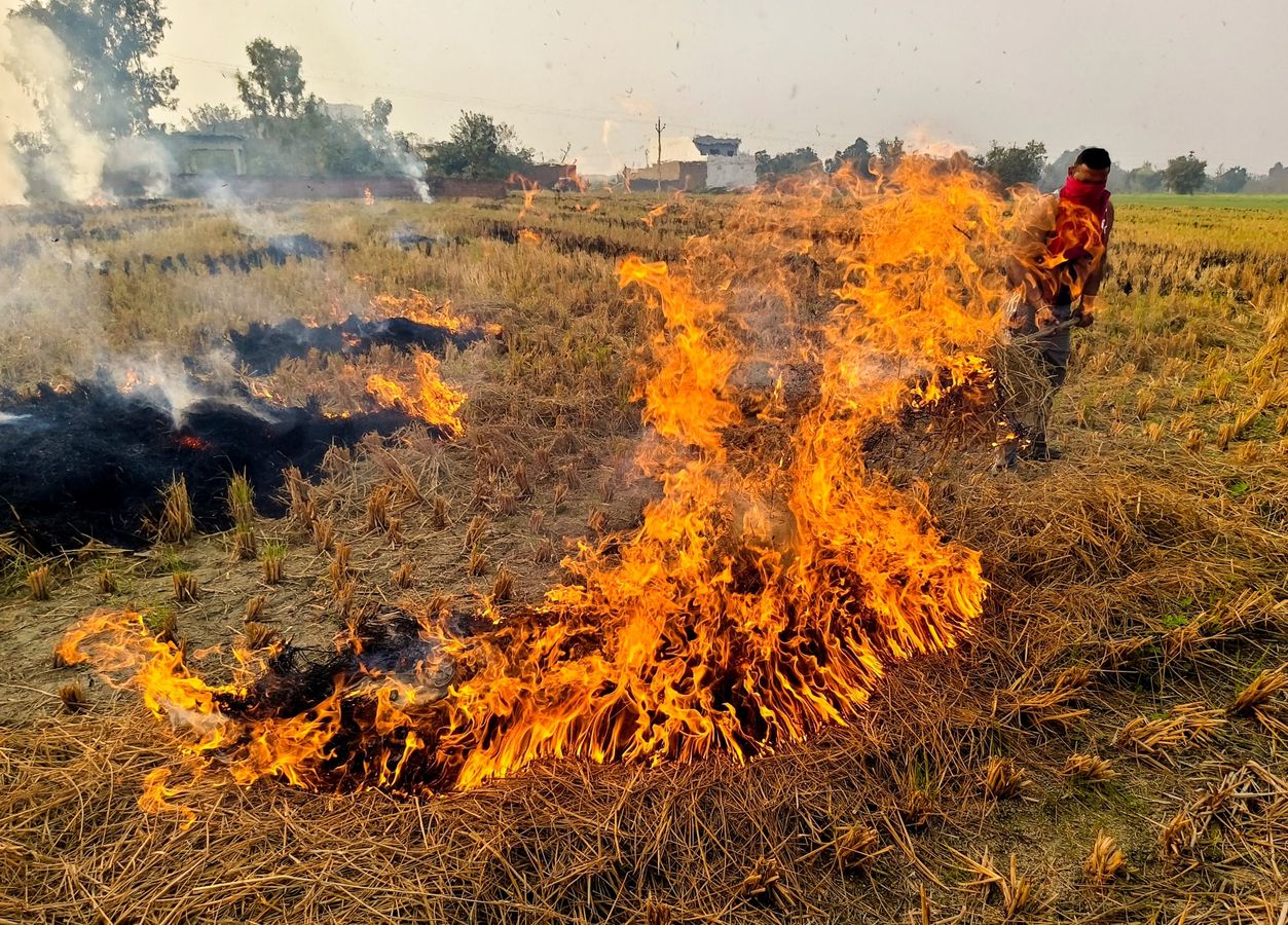 PTI11 25 2 1732693440 1