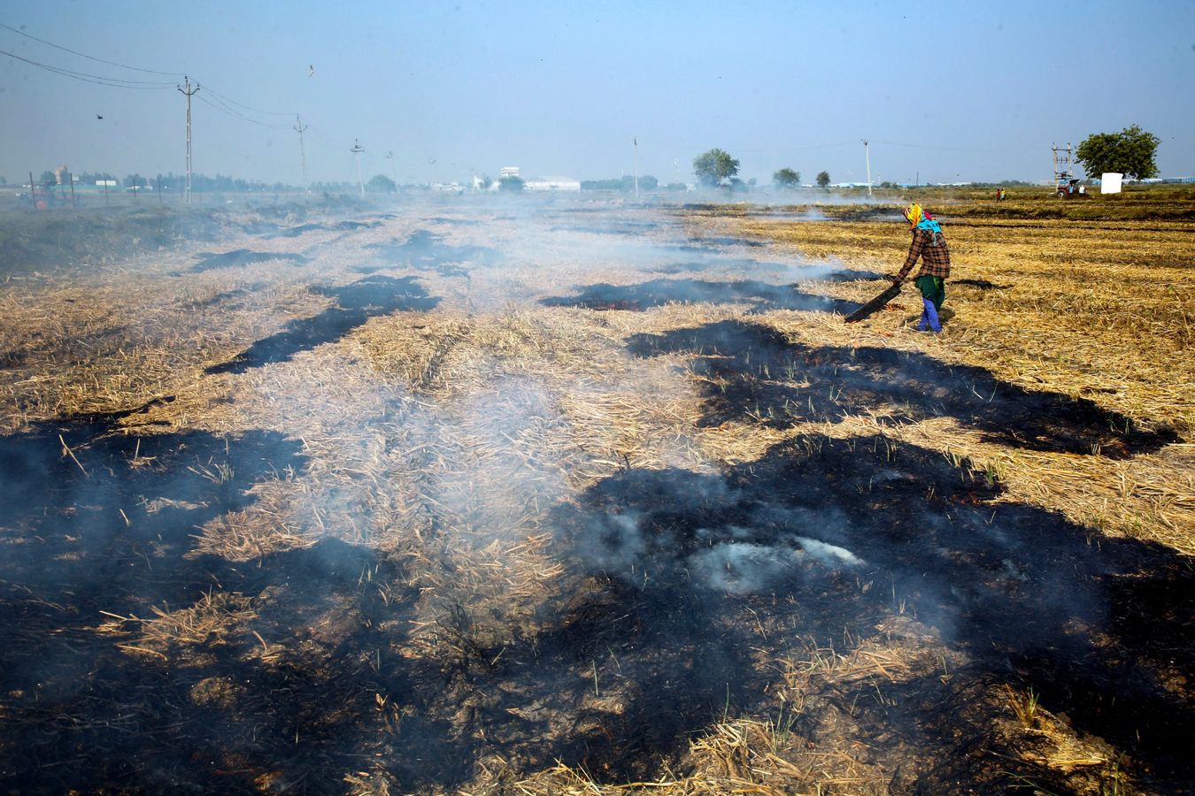 PTI11 26 2 1732693423