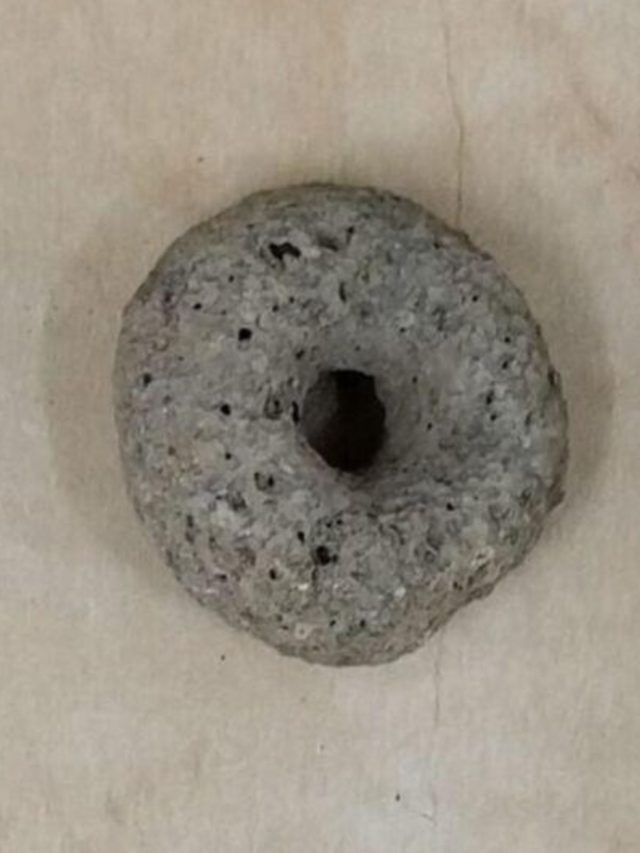 'From 12,000 years ago': The stones found in Israel may be humanity's first wheels