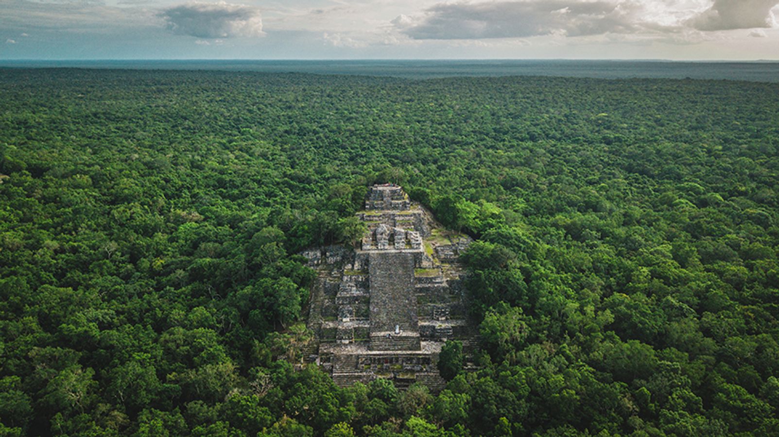 6,500 hidden structures': Laser finds lost Mayan megacity with pyramids hiding in plain sight