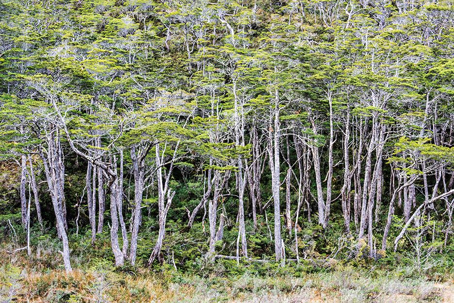 AdobeStock_250336749