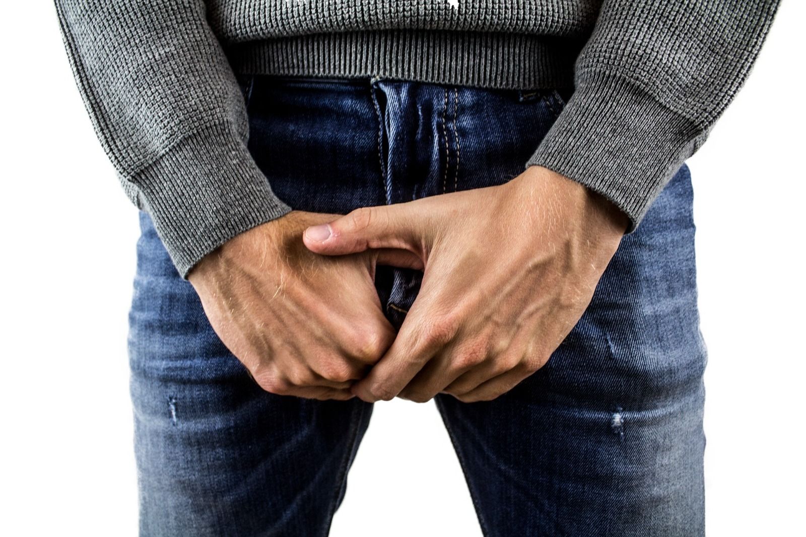 Penile Bone Formation1ITG 1734698495754