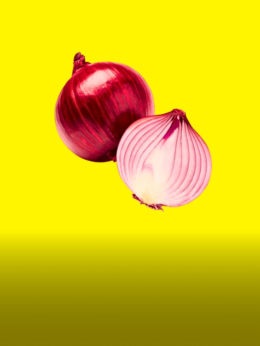 Keksa odamlar jinsiy aloqa video Chechen jinsiy fohishalar