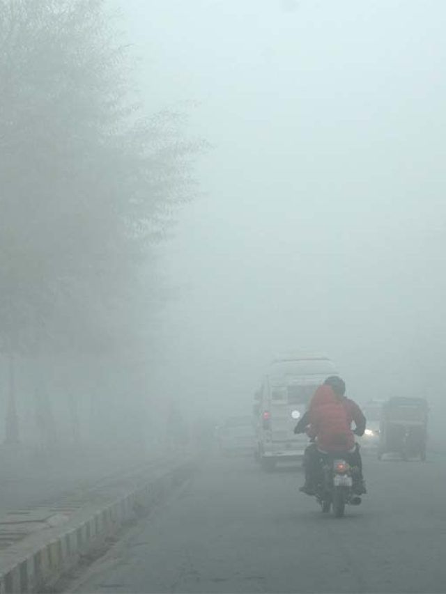 पहाड़ों पर बर्फबारी से उत्तर भारत में बढ़ी शीतलहर! वीडियो में देखें सर्दी का सितम