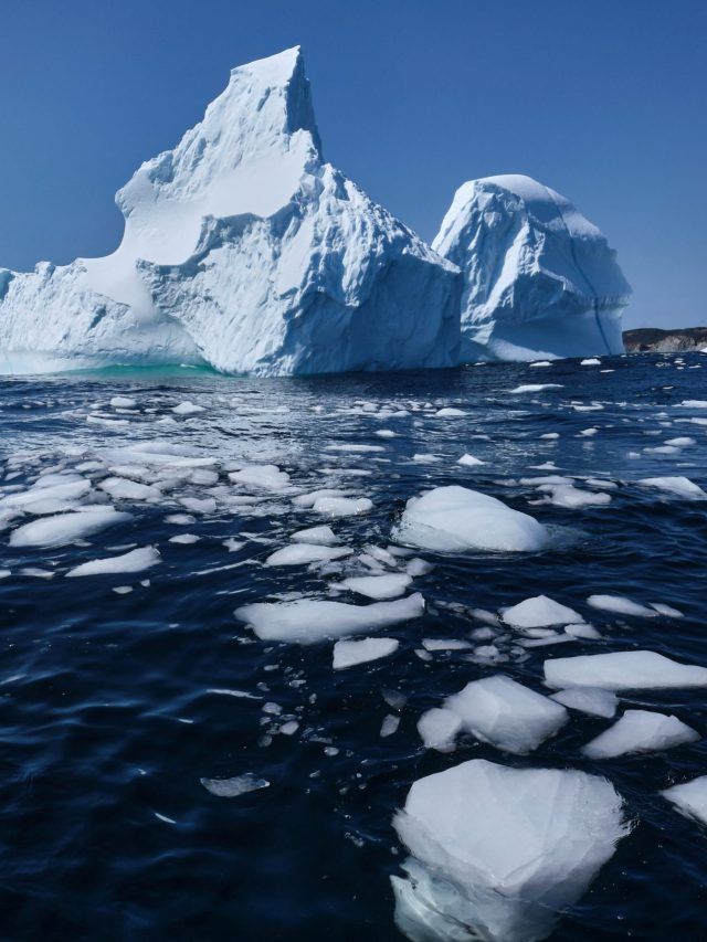 Antarctica effect: Scientists came from 4 countries, now they speak with one strange voice