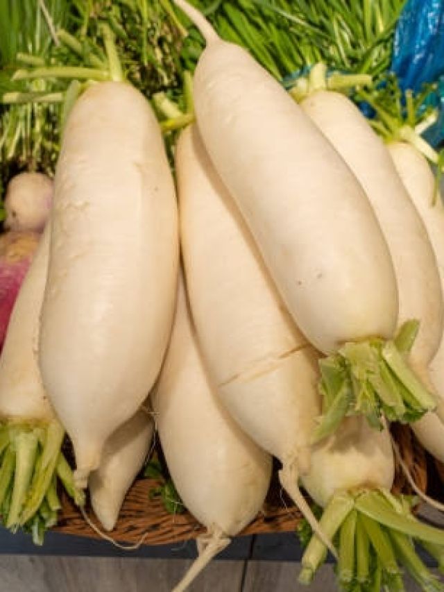 सर्दियों में मूली खाने के ये फायदे जानते हैं आप? जान लिया तो रोज खाने लगेंगे