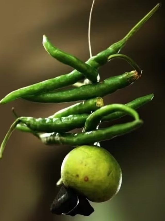 বাড়িতে বা দোকানে কোন দিন লেবু-লঙ্কা ভুলেও টাঙাতে নেই জানেন?