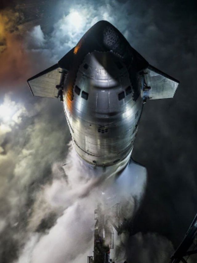 ‘Elon Musk’s plan to escape Earth’: This spacecraft could take us beyond the Solar System