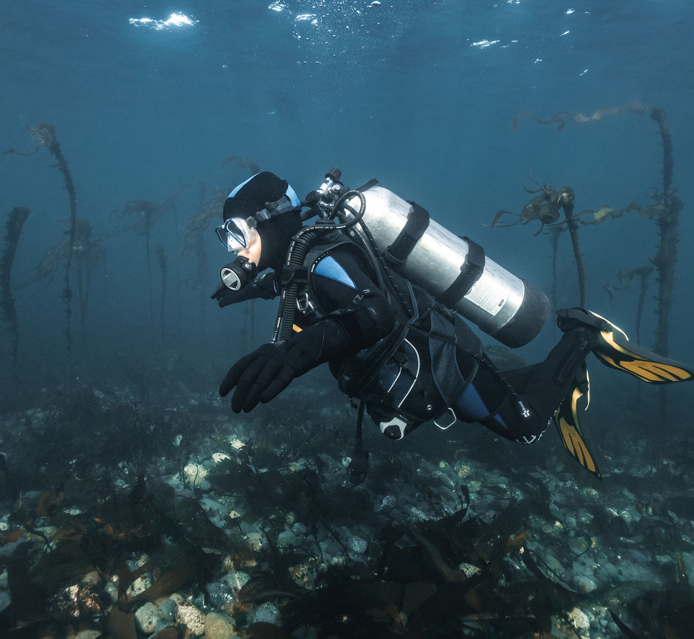 Deep ocean studyITG 1737778907586