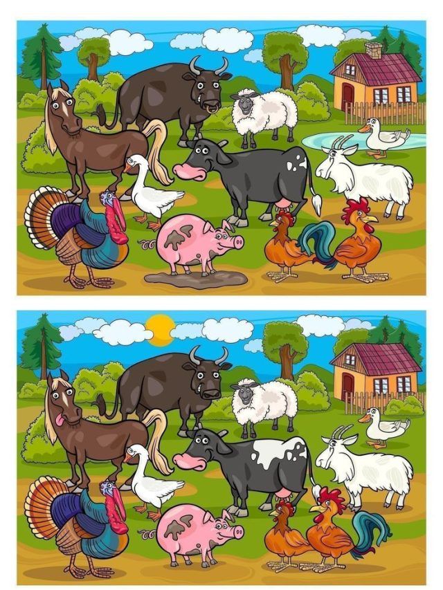 जंगल की इस तस्वीर में है 5 गलती, 10 सेकंड में दें जवाब