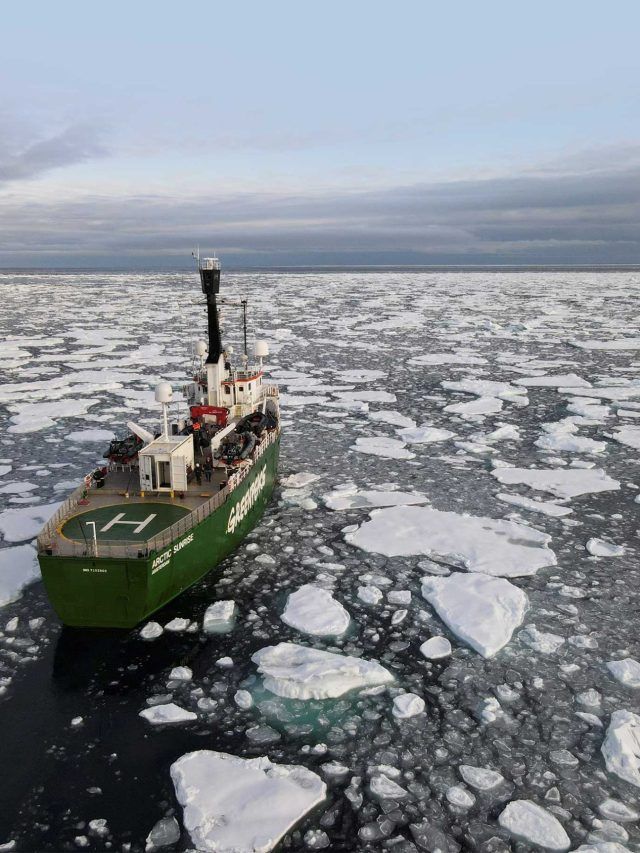 ‘Antarctica is dying’: Scientists just found the ocean eating ice faster than predicted