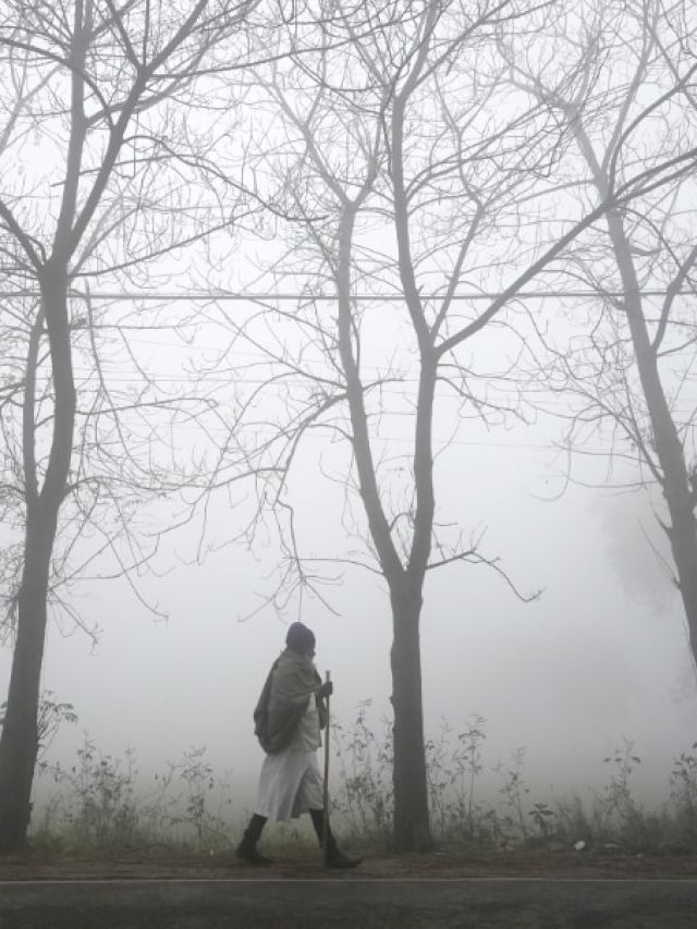 हरिद्वार-प्रयागराज-दिल्ली से महाराष्ट्र तक छाई कोहरे की चादर, देखें