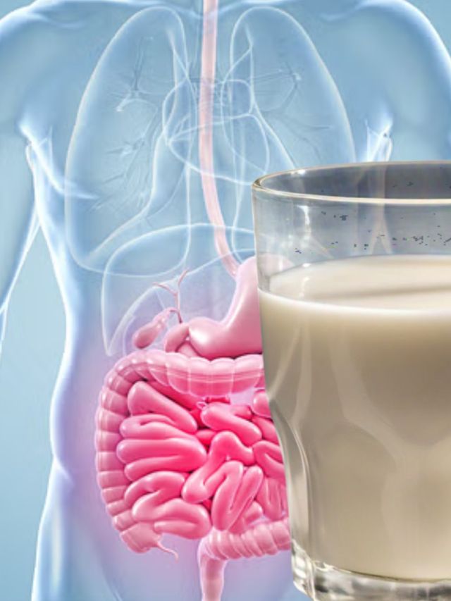 ক্যানসার হতে দেয় না দুধ, গবেষকরা বললেন, কতটা খেতে হবে?