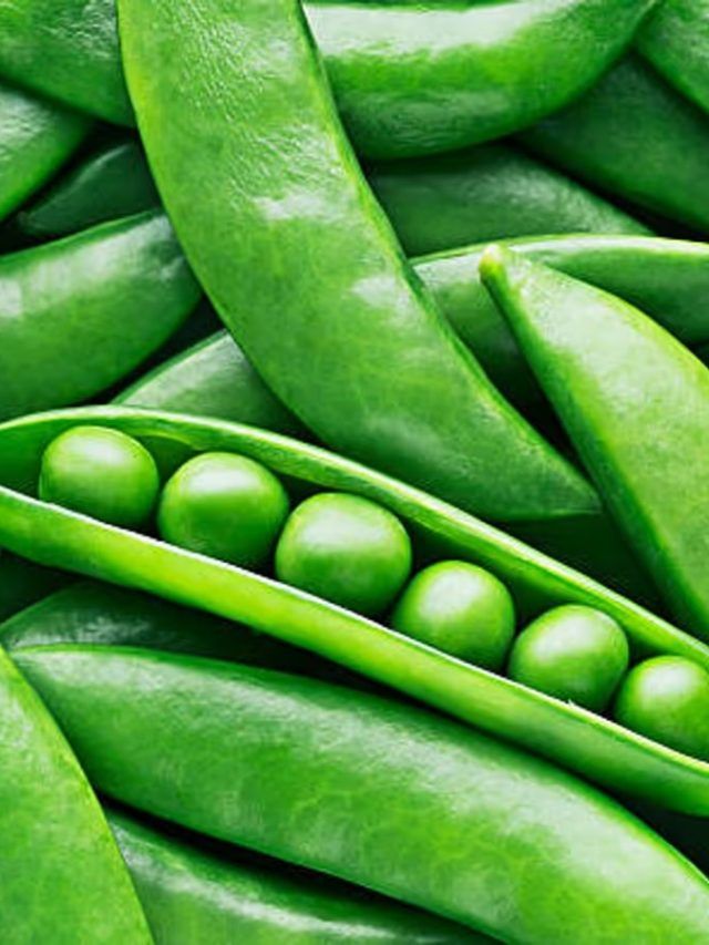 কড়াইশুঁটি এঁরা ভুলেও খাবেন না, ভয়ঙ্কর ভুগবেন