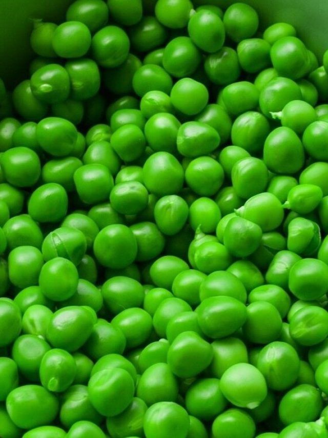 মটরশুঁটি এভাবে রাখলে গরমকালেও খেতে পারবেন, রইল দারুণ ট্রিকস