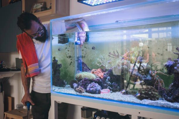 fish aquarium 1ITG 1737107856805
