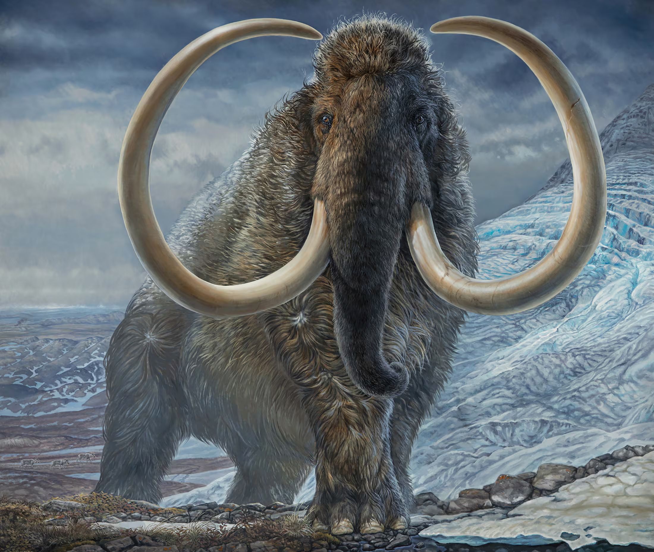 mammoth reutersITG 1737350684088