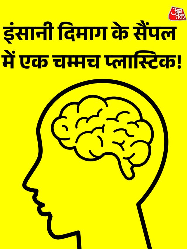 इंसानी दिमाग के सैंपल में मिली एक चम्मच के बराबर प्लास्टिक