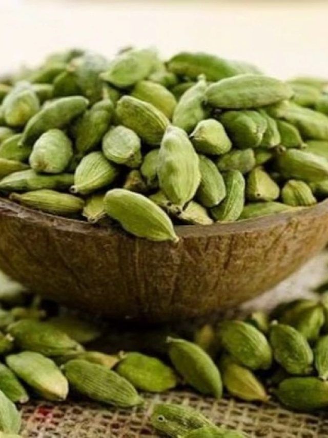 ৩টে এলাচ রুমালে মুড়ে রেখে দিন, তাতেই শুরু খেলা
