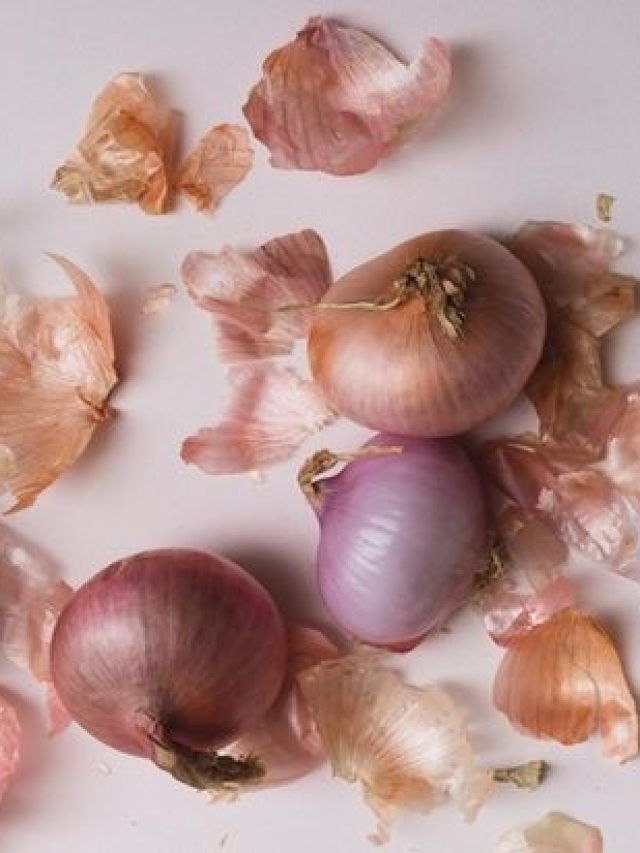 प्याज के छिलकों से ऐसे बनाएं खाद, खर्चा होगा जीरो, बढ़ेगी पैदावार