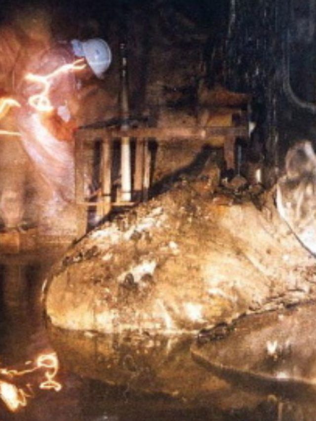 ‘The photo that killed him’: Just five minutes near this lethal object in Chernobyl can kill you too