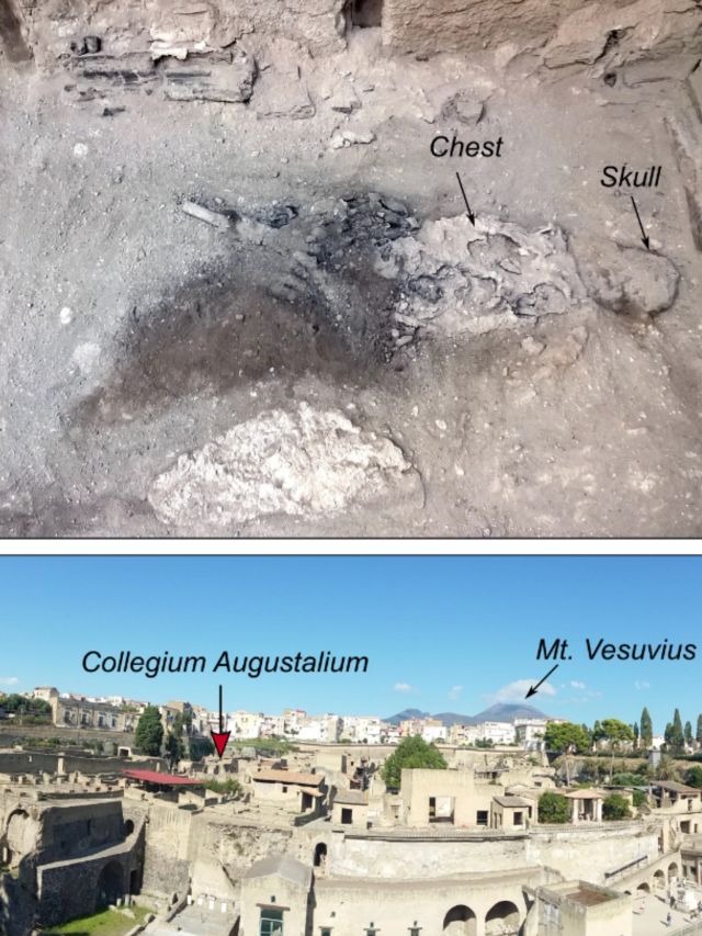 '510°C heatwave': Vesuvius eruption turned this man’s brain into glass