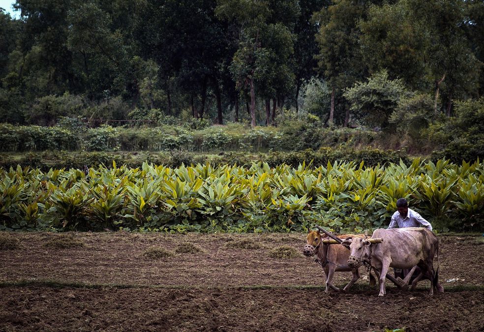 PM Kisan Nidhi: आने वाली है PM किसान की 19वीं किस्त, लाभार्थी सूची में ऐसे चेक करें अपना नाम